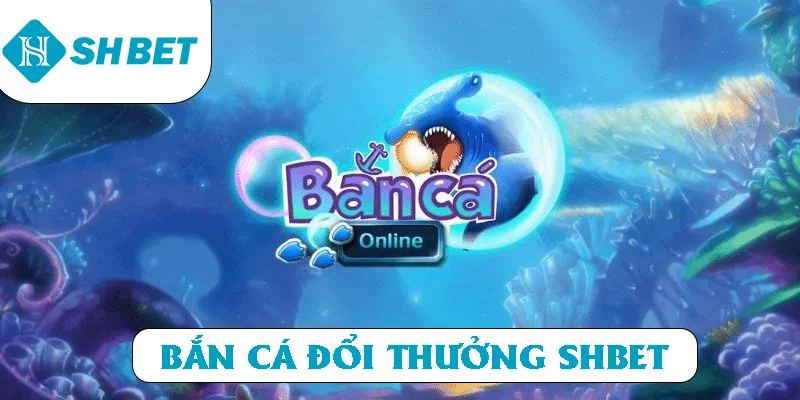 Banner www.benta.com.vn