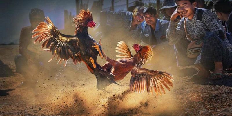 Banner www.benta.com.vn