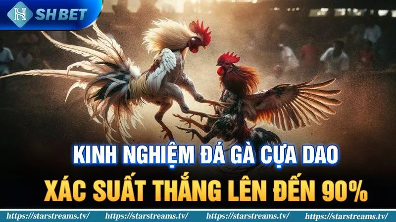 Banner www.benta.com.vn
