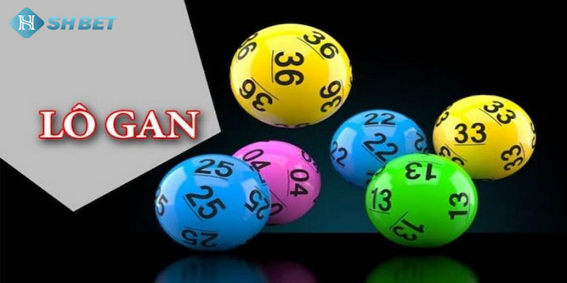 Banner www.benta.com.vn