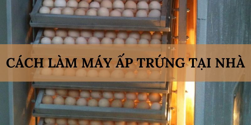 Banner www.benta.com.vn