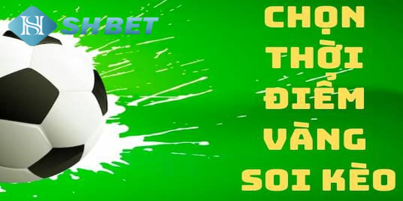 Banner www.benta.com.vn