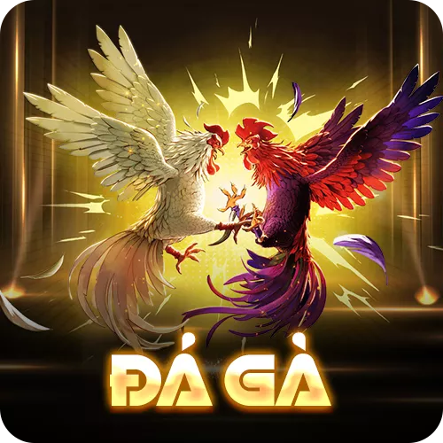 Banner www.benta.com.vn