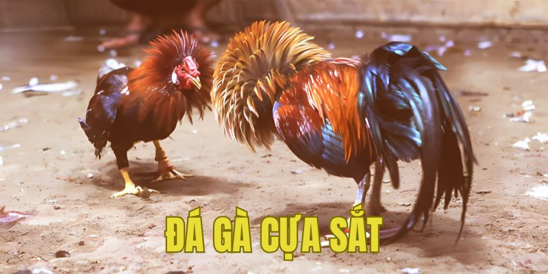 Banner www.benta.com.vn