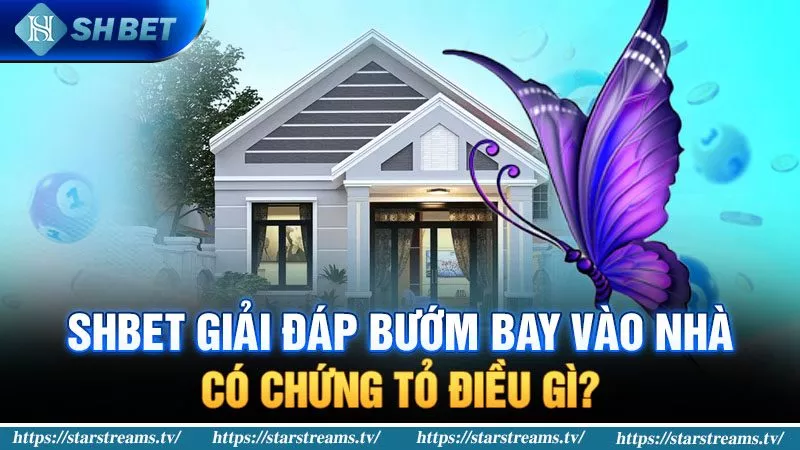 Banner www.benta.com.vn