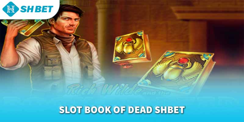 Banner www.benta.com.vn