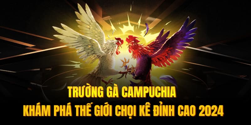 Banner www.benta.com.vn