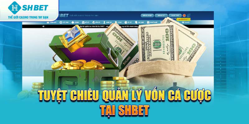 Banner www.benta.com.vn